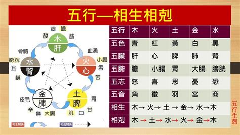 五行成語相剋|五行